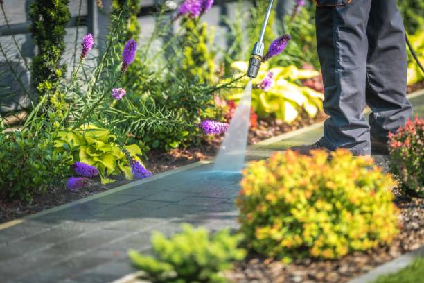 Best Winterizing Services  in Barnesville, MN
